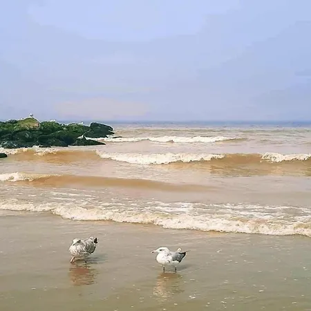 Bright Coastal Family Escape, Cleaning Included *