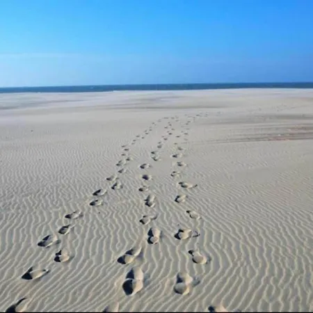 Bright Coastal Family Escape, Cleaning Included Apartman De Panne